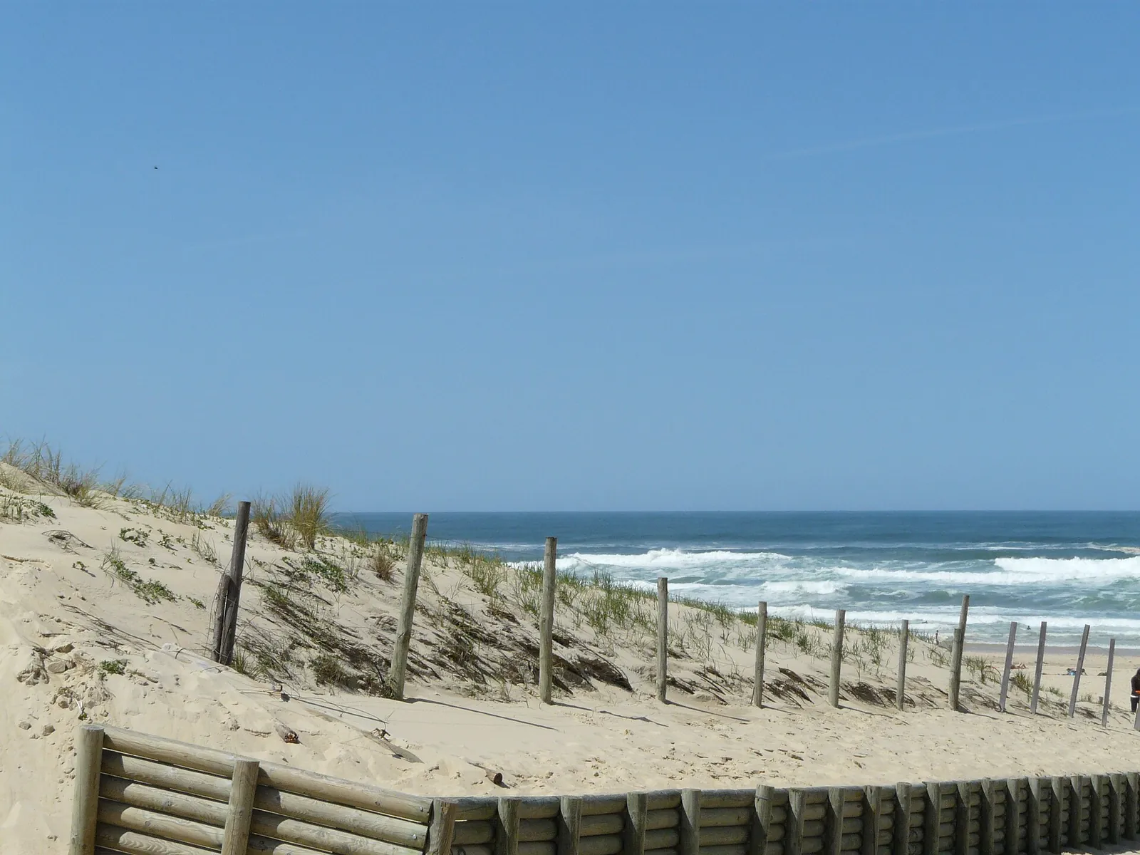 Dune et ganivelles face à l'océan sur la côte landaise au printemps