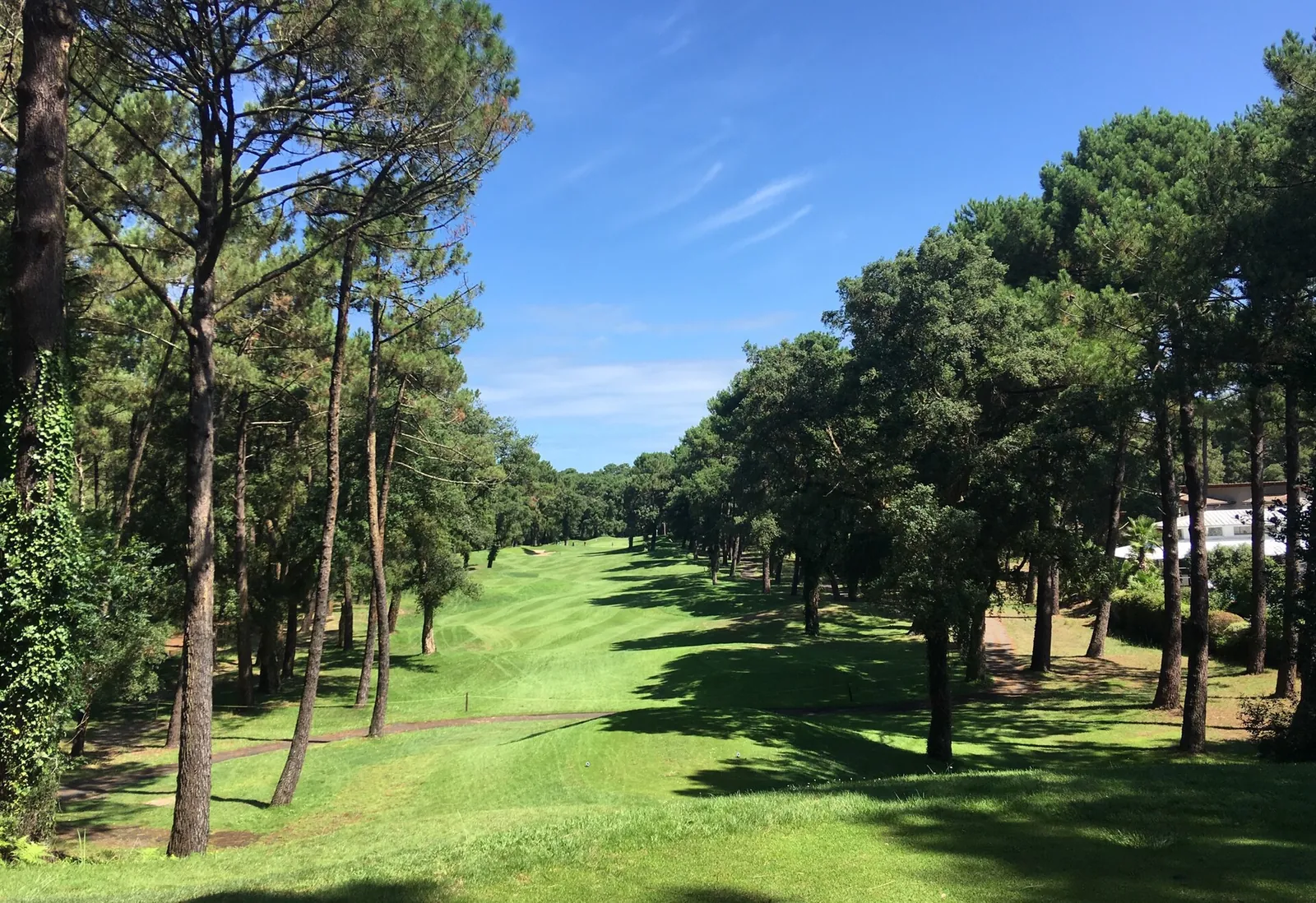 Fairway du golf de Seignosse bordé de pins