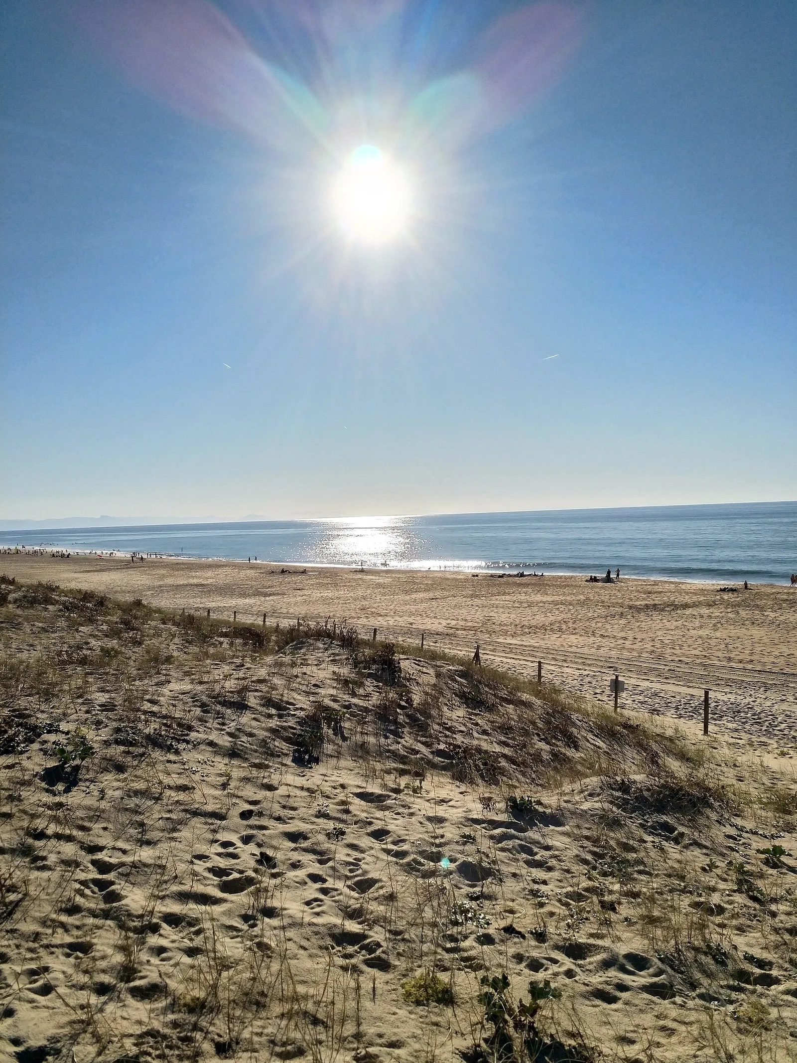 La plage de Seignosse vue de la dune au printemps